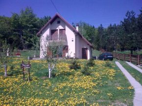 Holiday Home Čančarević